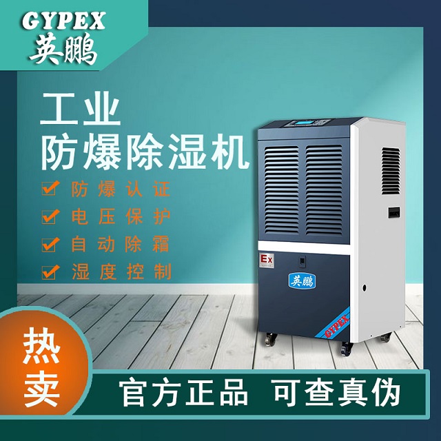 温州工业除湿机可移动BCF-7138C化工、制药、地下车库专用抽湿器英鹏(GYPEX)