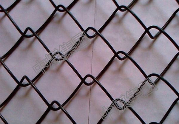 山东中煤集团菱形网厂家菱形网直供