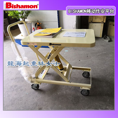 ESX08移动作业平台可定制不锈钢平台,龙海起重无假货