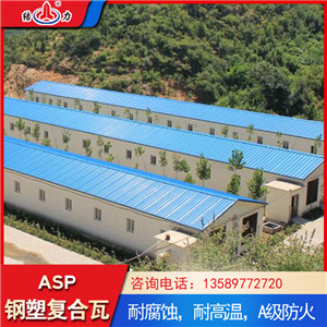 塑钢复合板 防火耐腐板 钢结构屋顶瓦适用寿命长