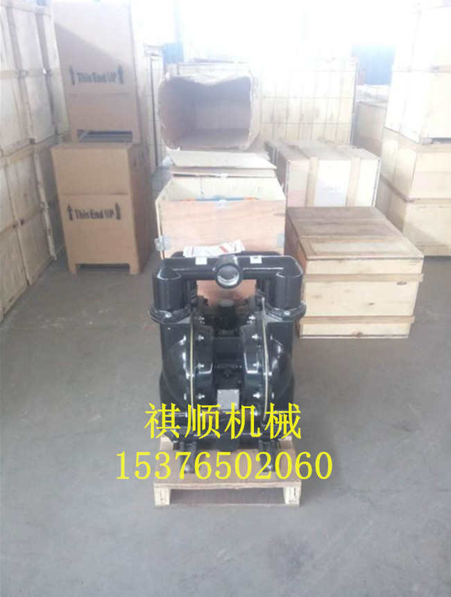 铸铝气动隔膜泵 BQG气动泵