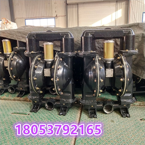 BQG370/0.2气动隔膜泵 移动灵活的隔膜泵