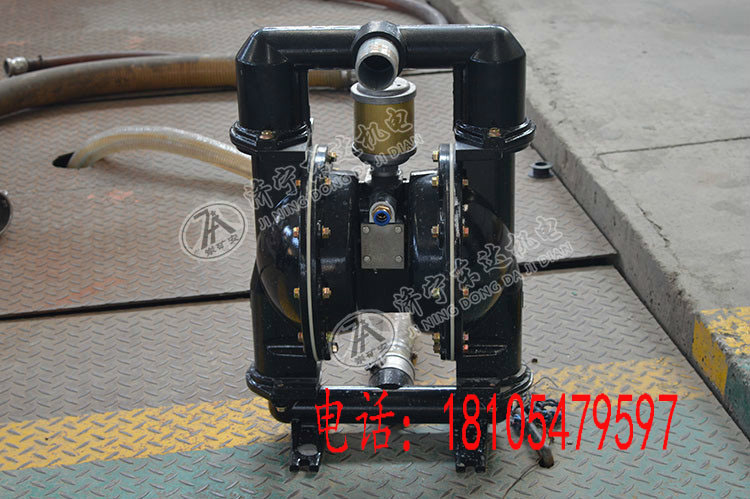 BQG250/0.3气动隔膜泵