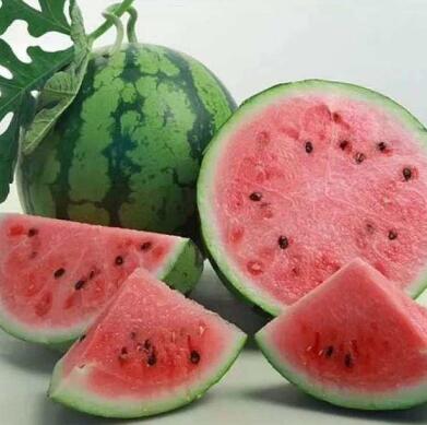 濮阳西瓜苗甜王品种 大红瓤西瓜育苗厂