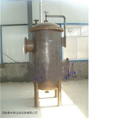 1615017697584026.jpg 保护压缩机专用煤气过滤器.jpg