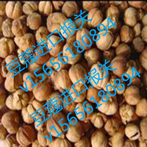 北京豆蔻进口报关公司