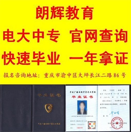 ---黄2---.jpg