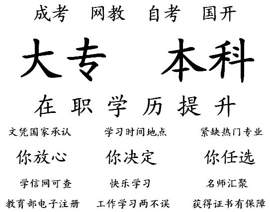 白1.jpg