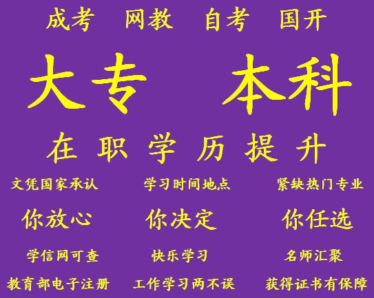 紫1.jpg