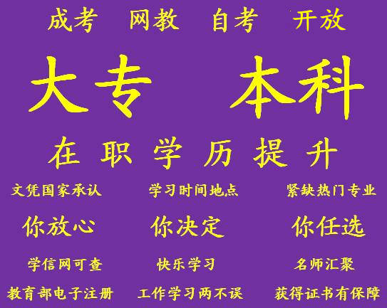 紫1.jpg
