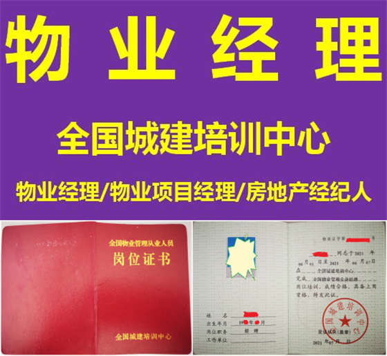 紫.jpg