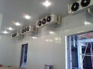 u=1121654480,467583512&fm=26&gp=0.jpg