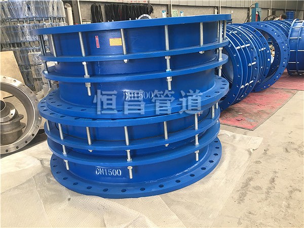 云南传力式伸缩器案例