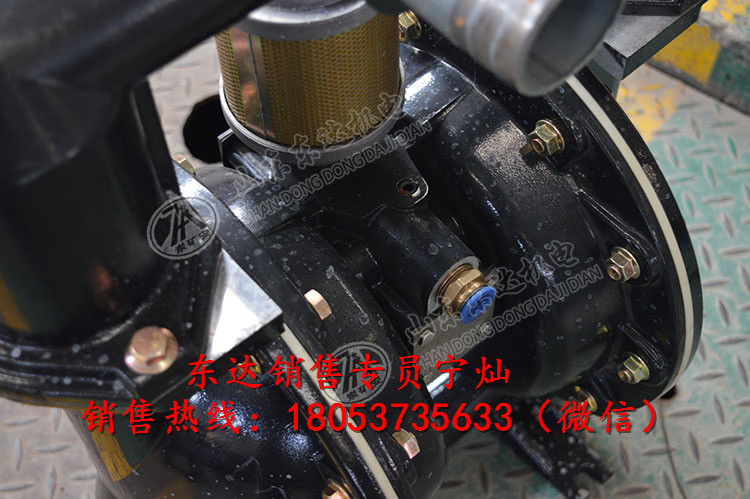 BQG460/0.2气动隔膜泵