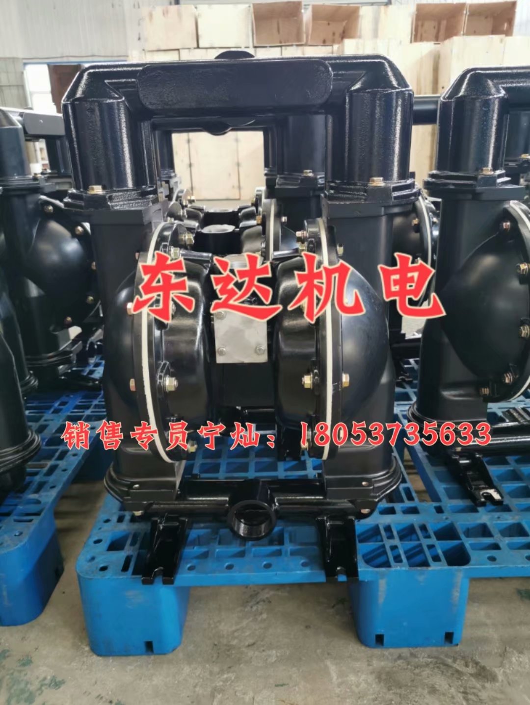 BQG450/0.2 隔膜泵 气动隔膜泵