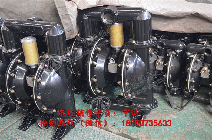 BQG450/0.2气动隔膜泵