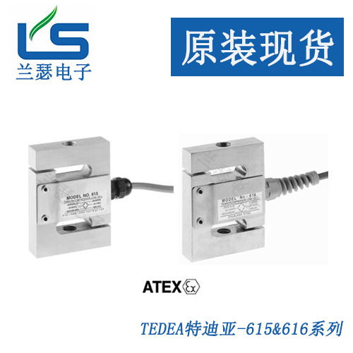 615-1000kg特迪亚亨特利