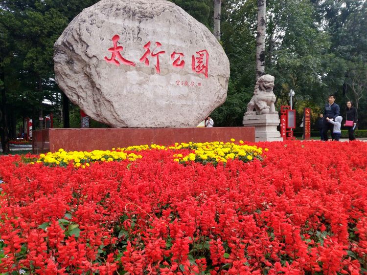 龙君展览助力山西长治太行公园灯光亮化改造