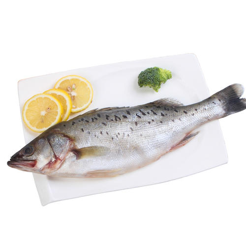 天津港水产品多瑙哲罗鱼海鲜进口报关天津报关行