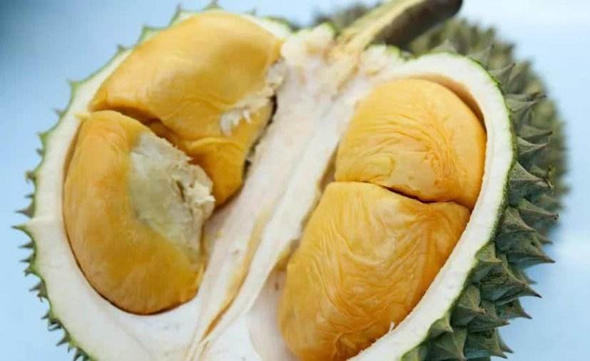 水果进口手续办理天津进口泰国山竹水果进口报关流程