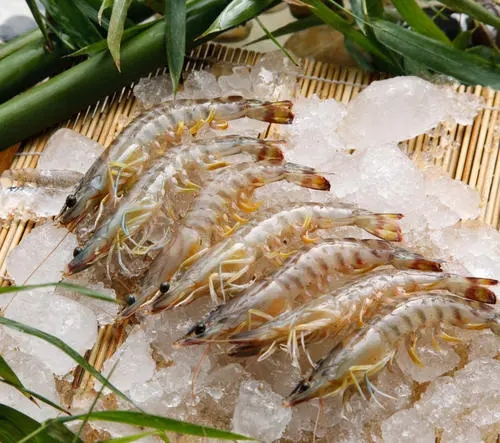 海鲜进口需要什么手续天津进口海鲜进口报关公司