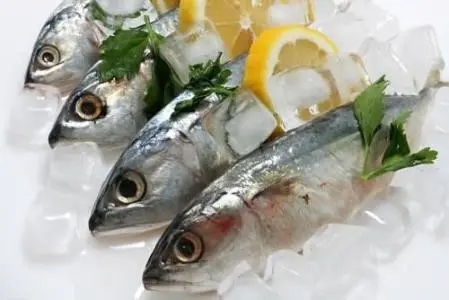 海鲜进口需要什么手续天津进口海鲜进口报关标准