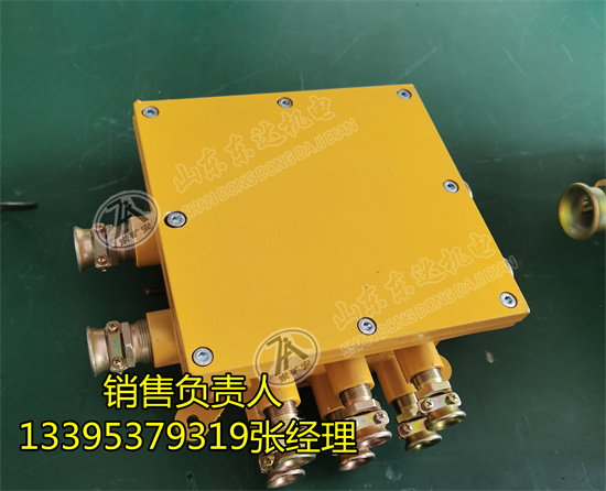 隔爆接线盒 BHD-10/127-16G矿用低压电缆接线盒