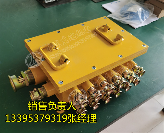 28通接线盒 BHD-10/127-28G低压电缆接线盒​