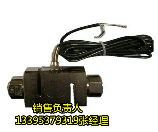 皮带机张紧力下降保护装置 CSF-B