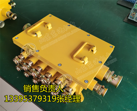 低压电缆接线盒​ BHD-10/127-28G隔爆接线盒