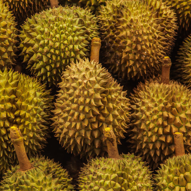 水果进口报关注意事项及所需资料