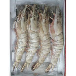 进口冻南美白虾清关代理服务