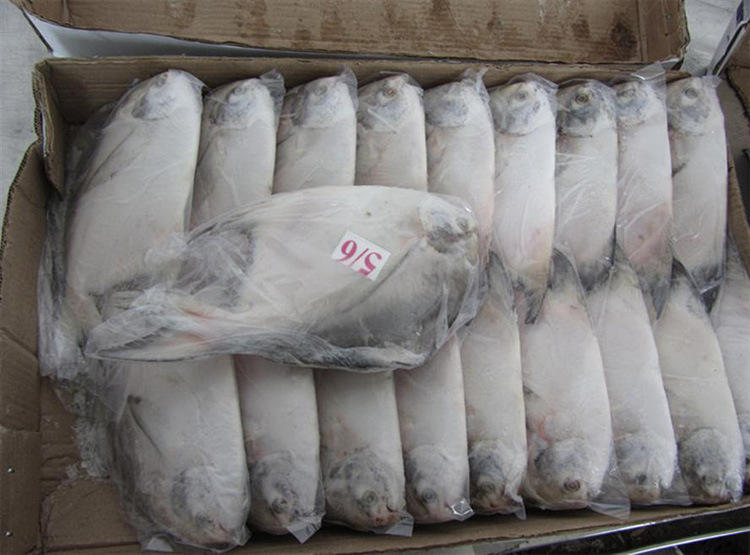 冻巴沙鱼片进口至盐田清关服务