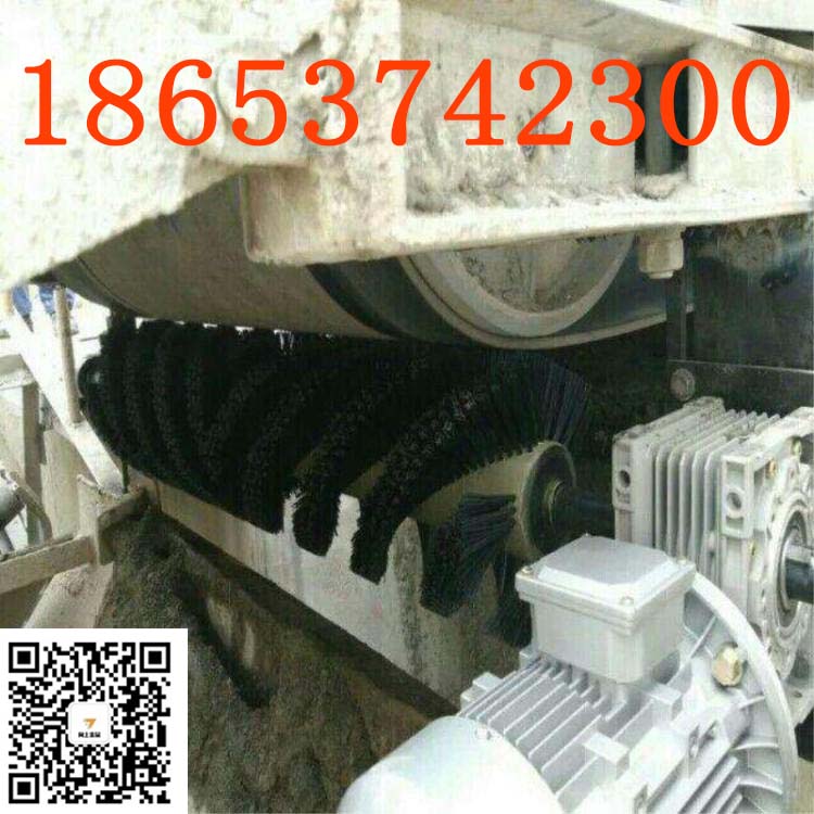 供应旋转式清扫器 电动清扫器B-800尼龙毛刷清扫器厂家