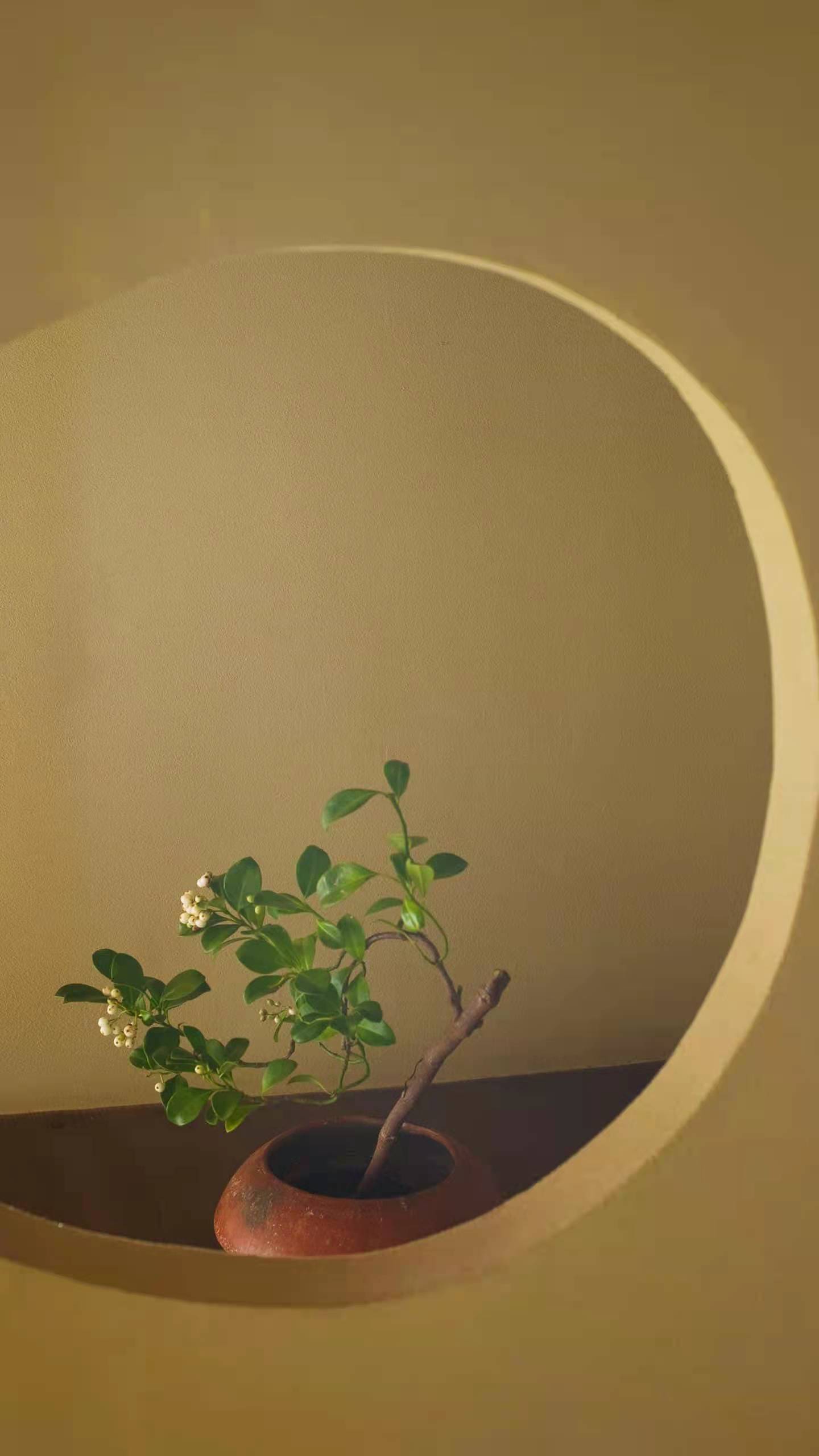 正阳门下！转让开封龙亭区钢构三级装饰二级模板特种工程股权变更