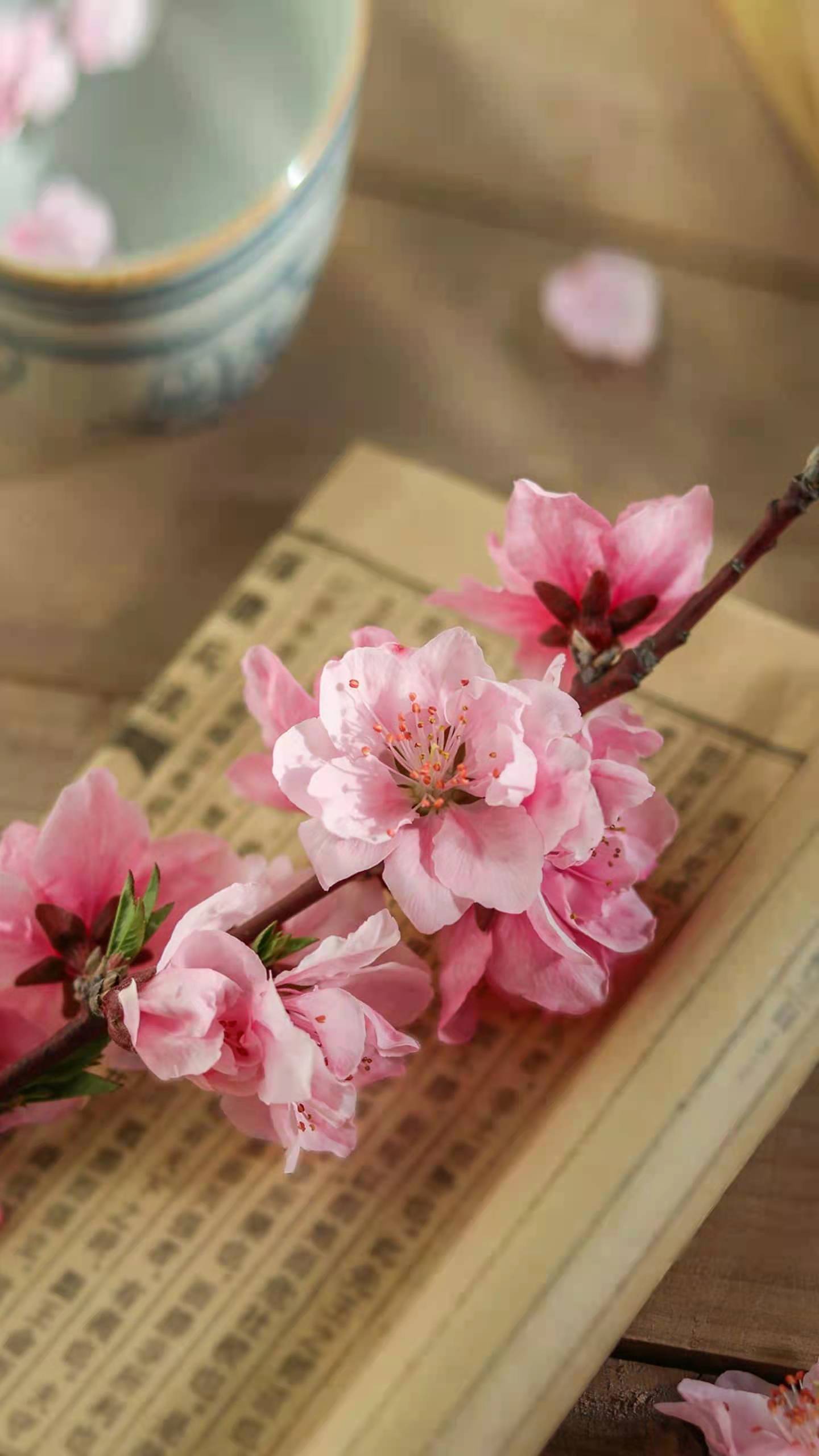 文化自信！转让郑州房建三级市政三级装修二级持续输出变更中原区