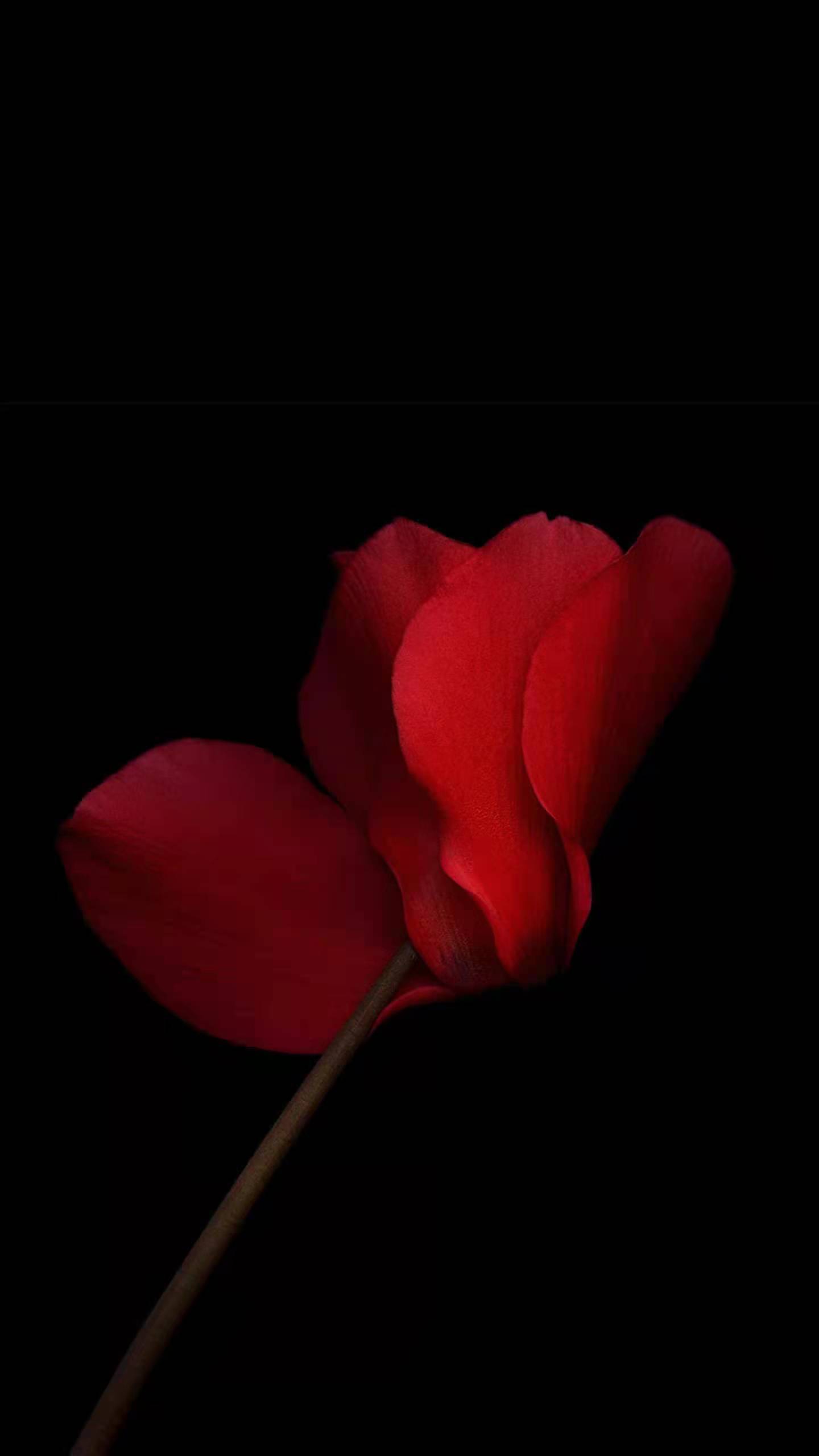 转让周口防水二级装修二级特种工程包变更价格亲民