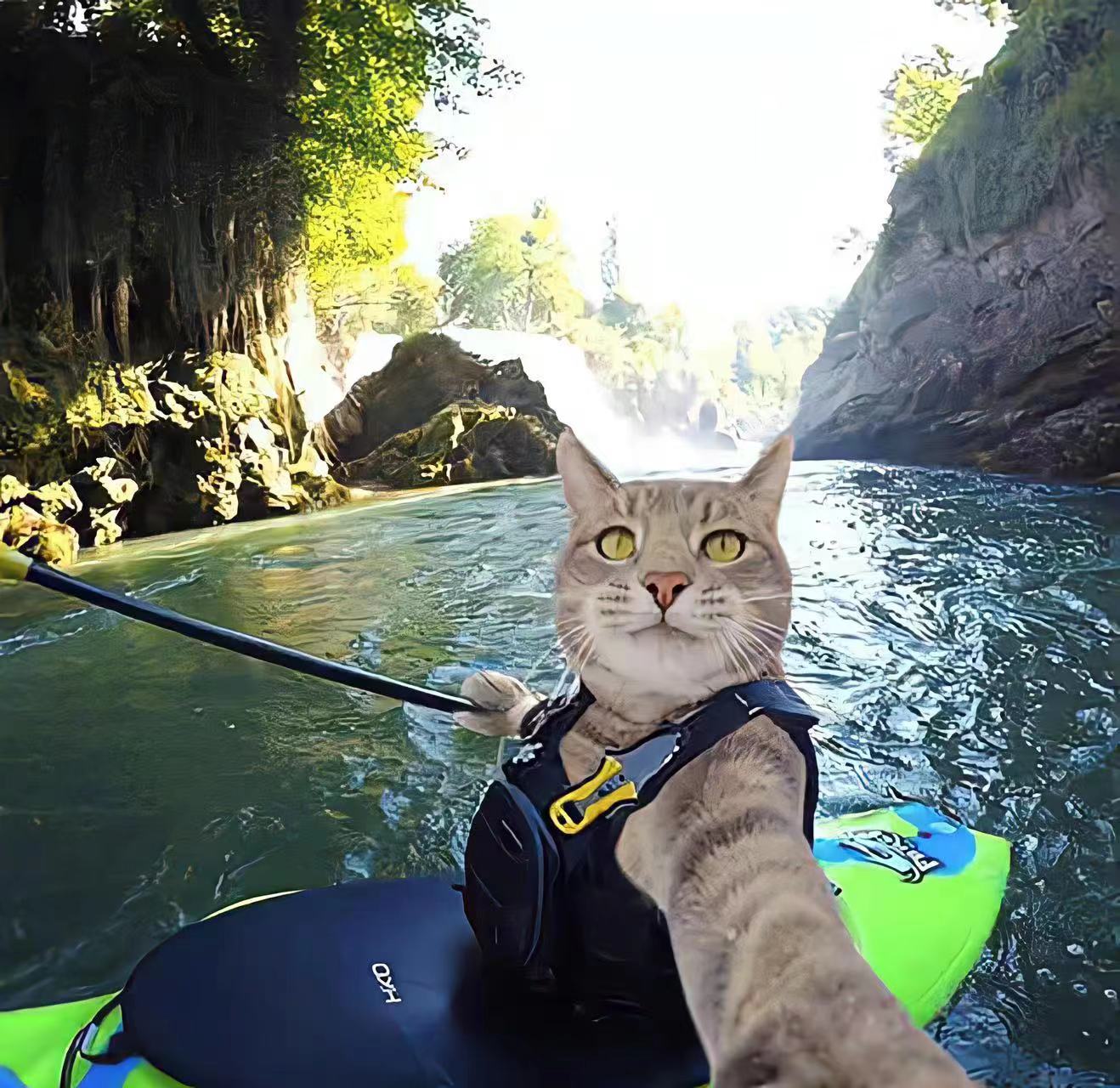 兰考转让装修一级资质公司西安转让施工劳务地址不能跨省变更