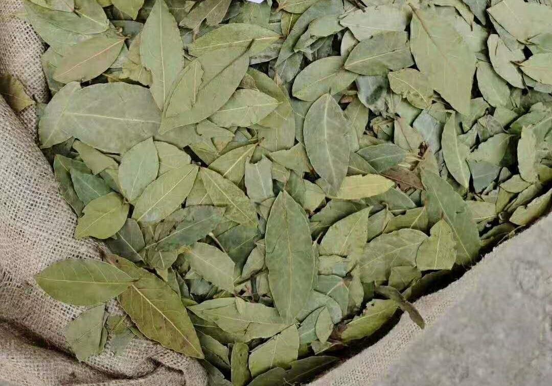 香叶进口报关清关快速通过一点通