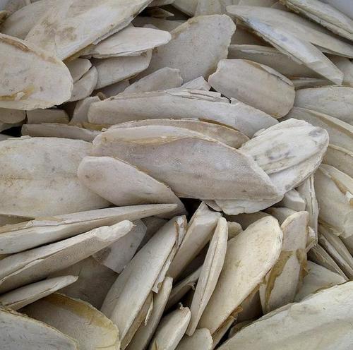 墨鱼骨进口报关清关业务