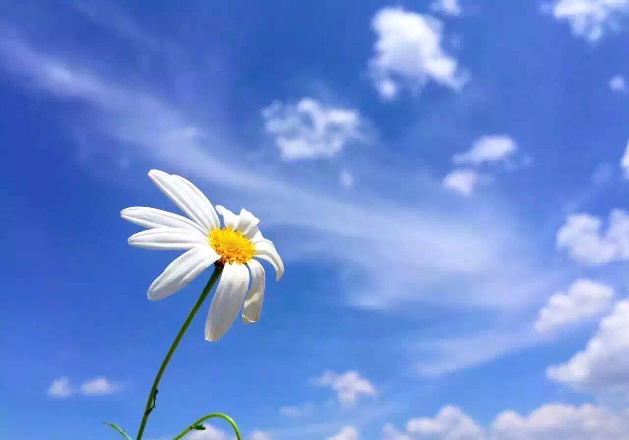 郑州河南自然人代开都需要哪些条件