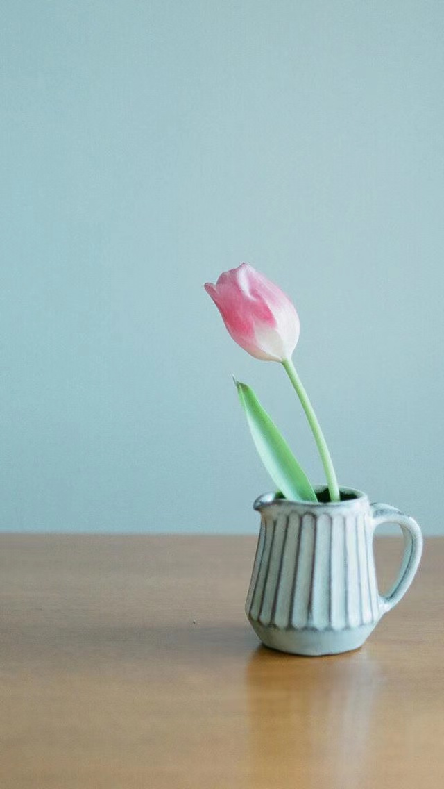 郑州专包资质增项，装饰装修二级新办条件