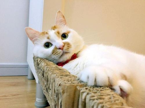 河南电商行业财务外包、进销存如何合理管理进销存？