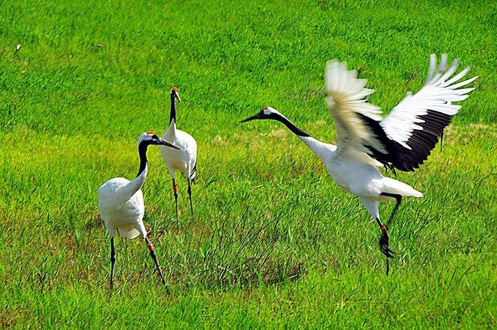 低价转让股权开封现成的房建三钢构三环保三级资质，现成安许
