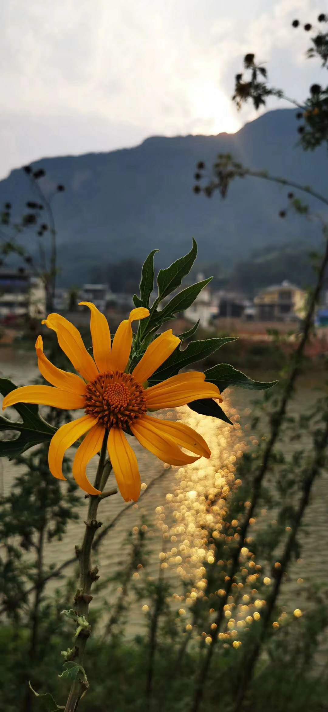 在开封入驻税收优惠园区注册个独企业需要多久多钱