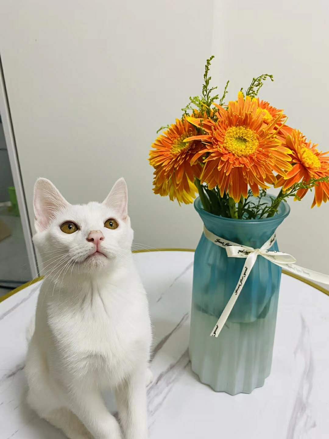 开封水利三河南市政三房建劳务分包整体转让