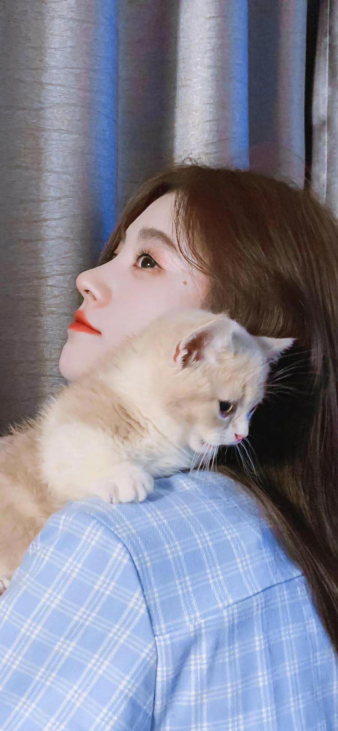 郑州公路乙级资质公路乙级总包出的价意想不到公路乙级