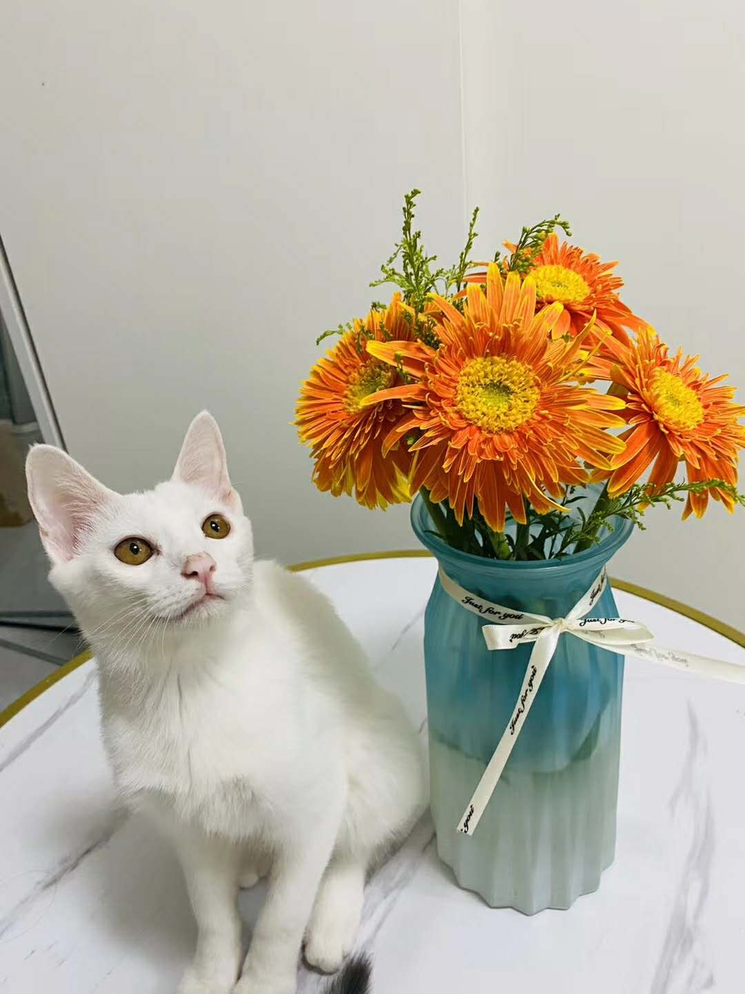 郑州本地企业电力乙级机电乙级和安许电力三级机电三级