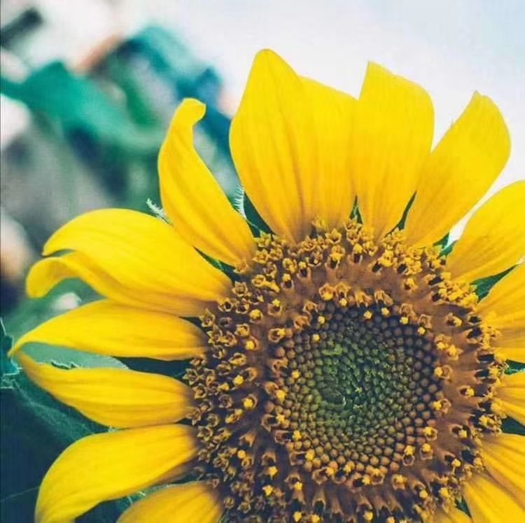 开封分立转让消防设施一级专包整体变更消防一级——安全生产许可证