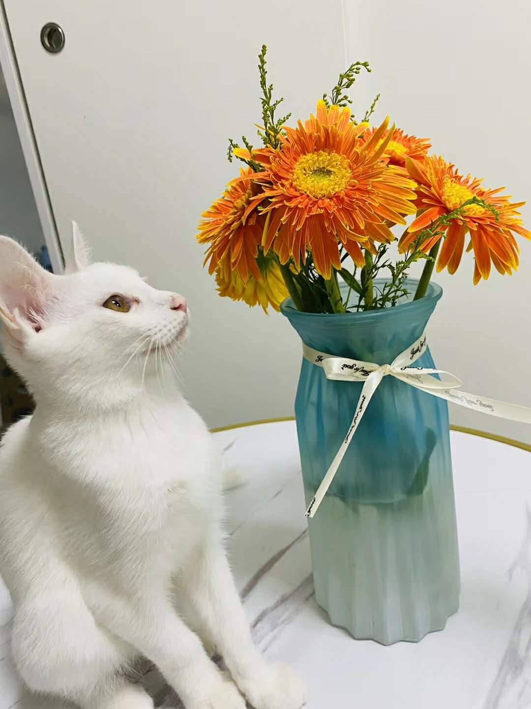 河南收购资质承接项目市政三防水二钢结构三房建三项目